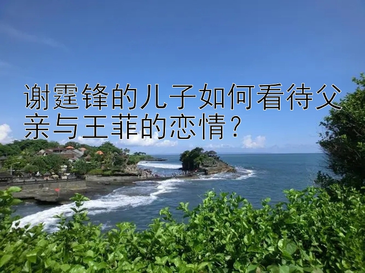 谢霆锋的儿子如何看待父亲与王菲的恋情？