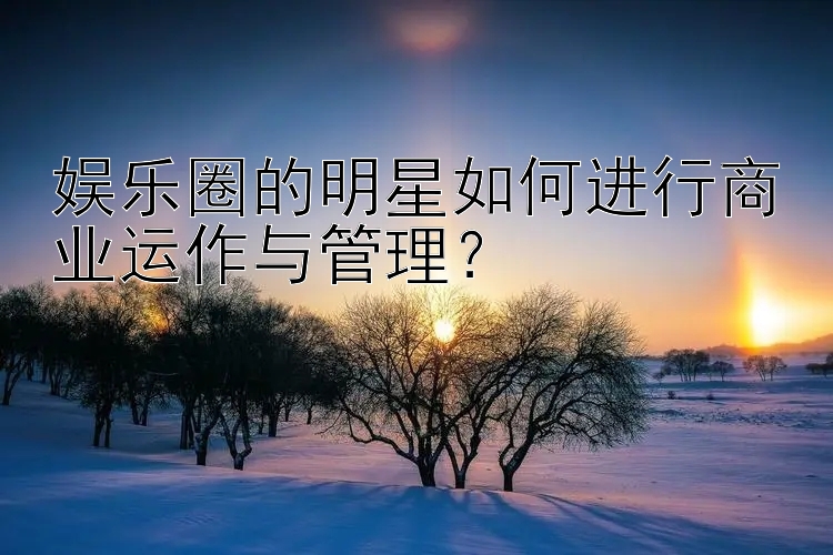 娱乐圈的明星如何进行商业运作与管理？