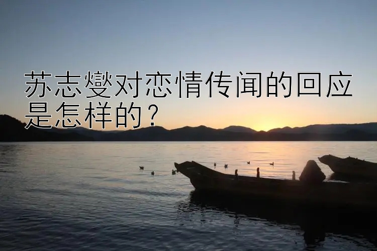 苏志燮对恋情传闻的回应是怎样的？