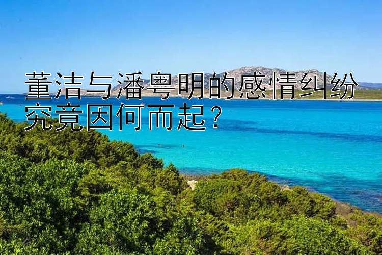 董洁与潘粤明的感情纠纷究竟因何而起？