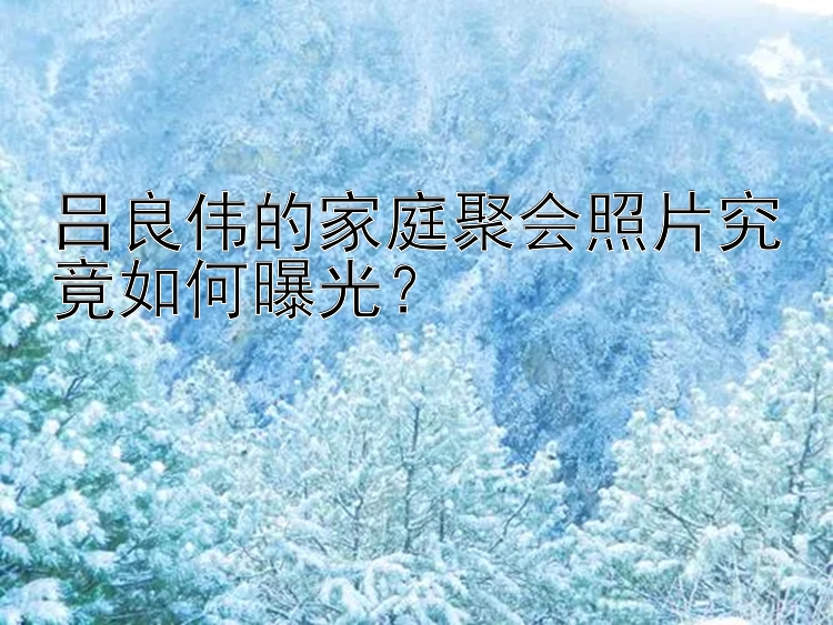 吕良伟的星光彩票江苏计划 家庭聚会照片究竟如何曝光？