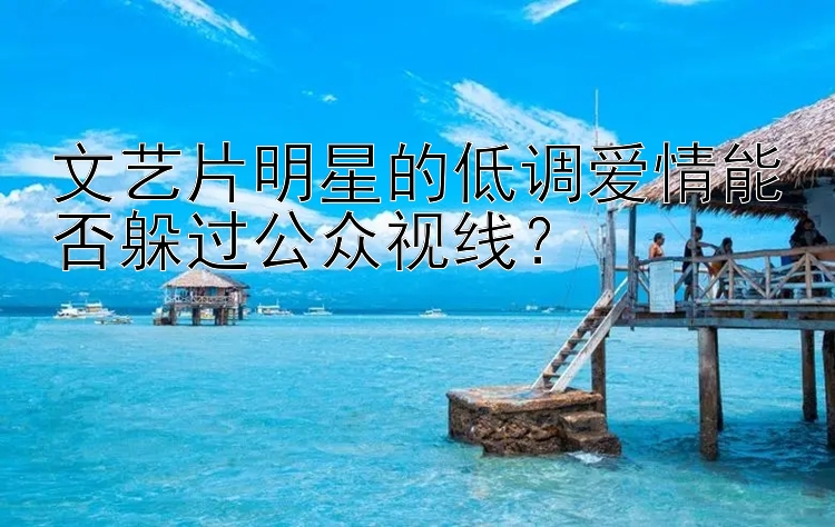 文艺片明星的低调爱情能否躲过公众视线？