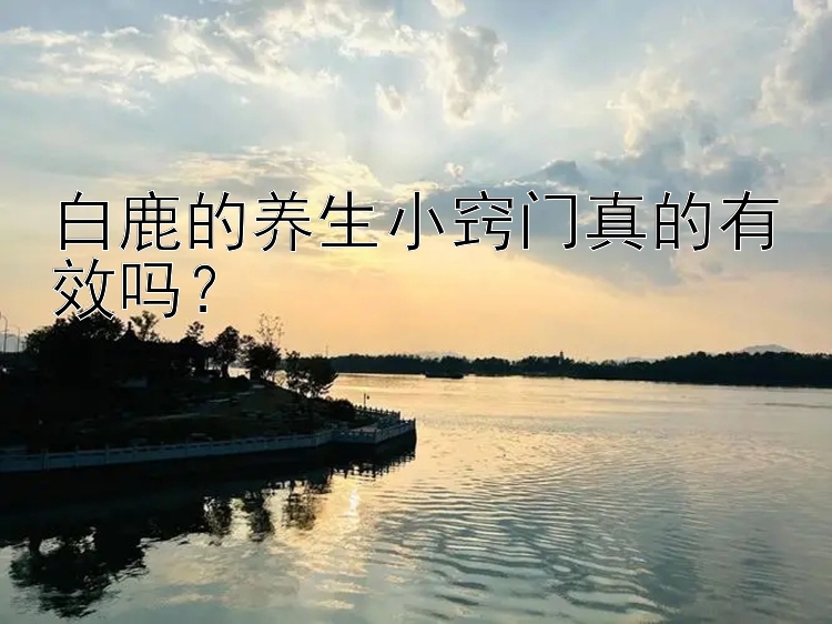 白鹿的养生小窍门真的有效吗？