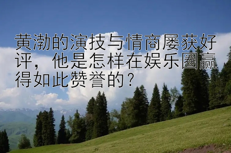 黄渤的演技与情商屡获好评他是怎样在娱乐圈赢得如此赞誉的？