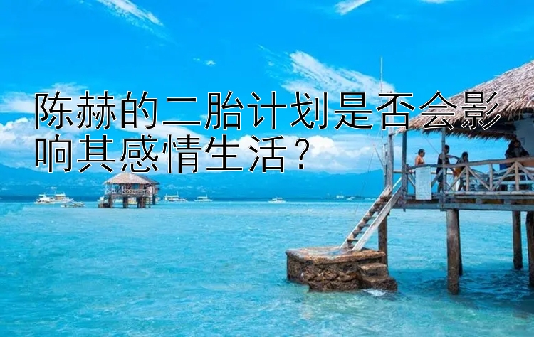 陈赫的二胎计划是否会影响其感情生活？