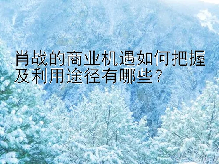 肖战的商业机遇如何把握及利用途径有哪些？