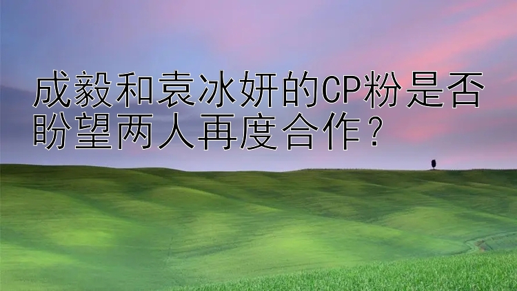 成毅和袁冰妍的CP粉是否盼望两人再度合作？